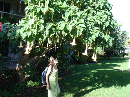 Betty on Maui.