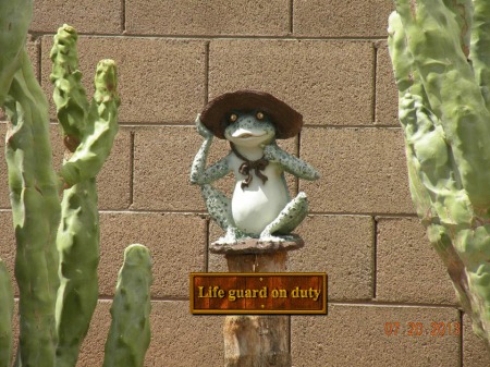 The pool life guard.