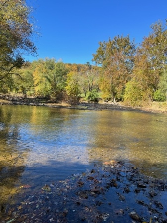 Fall creek view