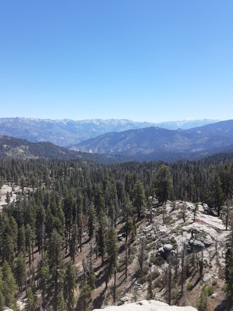 AT THE TOP OF BUCK ROCK LOOK OUT.