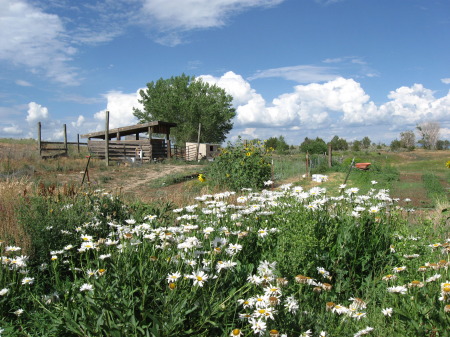 View of our farm