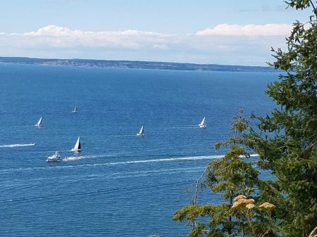 Our "Front yard regatta"