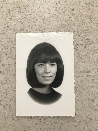 Vera Bereznicki's Classmates profile album