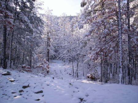 Mountains of SE Oklahoma