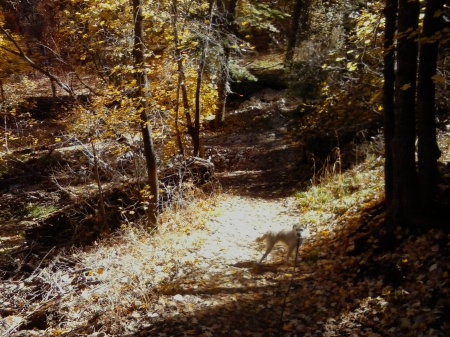 Hiking in the nearby mountains