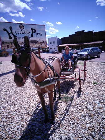 Canyon City Colorado... It's a fake horse.haha