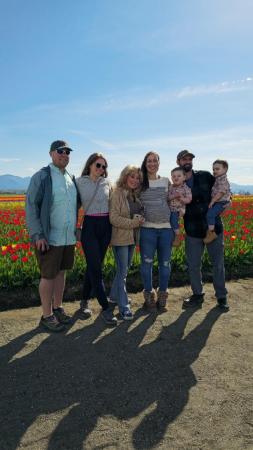 Skagit Valley Tulip Festival 2024