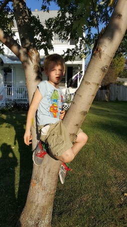 Grandson Cayden & his tree