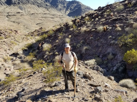 Fossil trilobite collecting Nopah range 