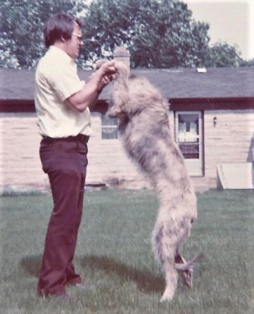 Tara Colleen my Irish Wolfhound pup