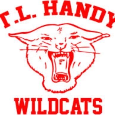 T. L. Handy High School 50th Reunion