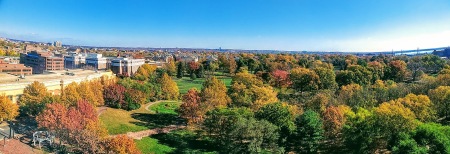 Alexandria, VA - Autumn Panorama