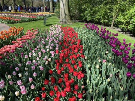 Keukenhof Gardens