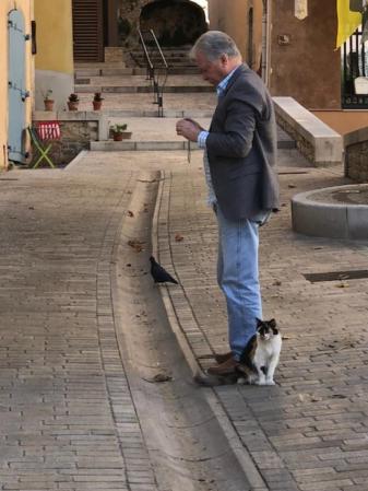 Cotignac; befriended by a little cat.