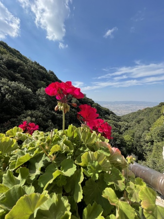 Assisi, Italy