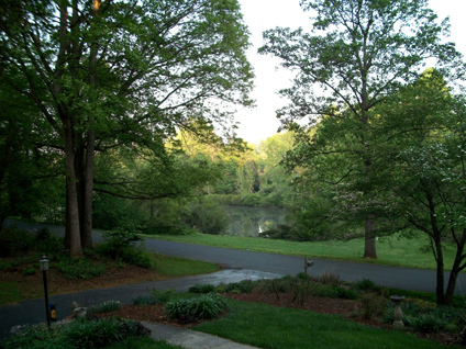 Our view out our front door