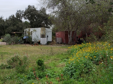 Mike Koehler's album, McAllen Nature Center