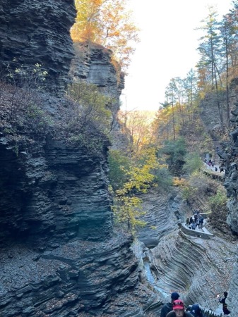 Watkins Glen