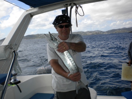 Barracuda, off Tortola, BVIs