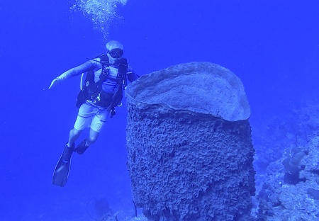 Giant Barrel Sponge in Little Cayman