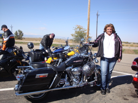 Bought myself this nice road king for my B-day