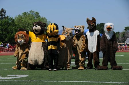 Los Altos School District Elementary School Mascots 2013