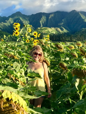 Sunflowers & Waianae Mtns!