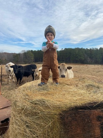 Ethan Feeding Cows