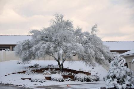 2015 December Snow