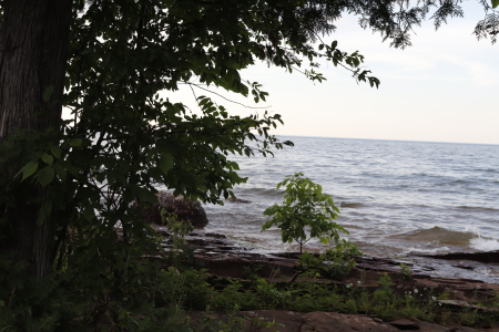 TIMOTHY JOHNSON's album, Porcupine Wilderness State Park