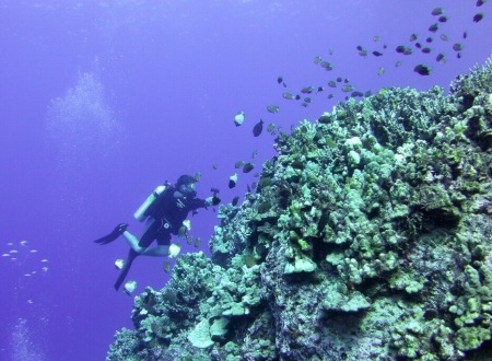 Scuba diving is a favorite sport 