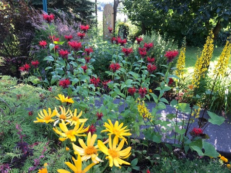 Hummingbird heaven , the garden