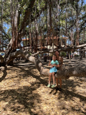 Lahaina Banyan Tree