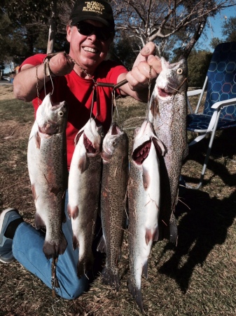 California Sierra Mountains trout