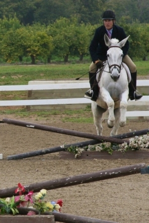 Mattie the Mule Over Fences, Rancho El Sueno