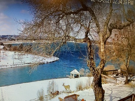 Canyon Lake Snow