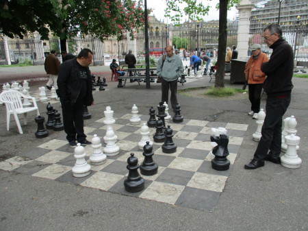 Chess Amsterdam Style