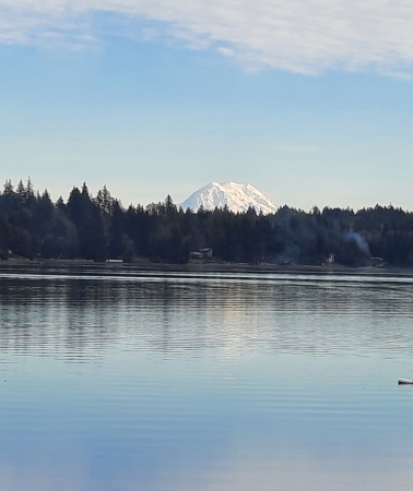 Mt. Rainier