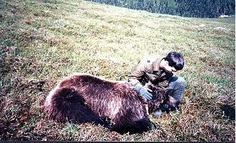 Bear mission in Alaska