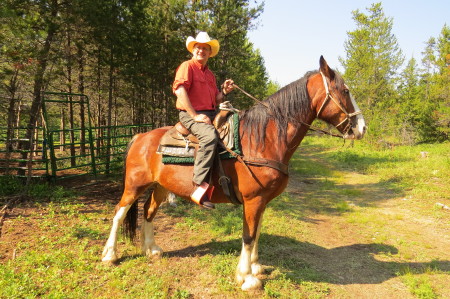 Horseback Riding and Camping