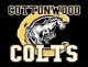 Cottonwood High School Reunion reunion event on Apr 20, 2024 image