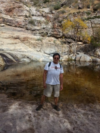 Calvin Lee's album, Sabino Canyon