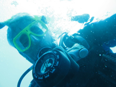 SCUBA diving in the Dominican Republic