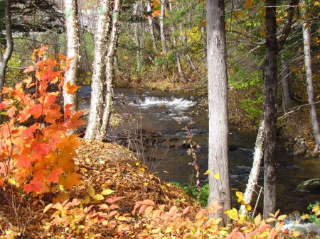 Lynette Obeck's album, Dazzling jeweled Autumn