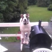 Davincci wants to know when the BBQ will start
