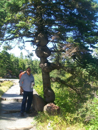 Roy in Acadia Natl. Park