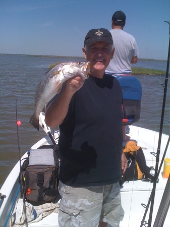 Redfish in the Bayou. Venice, Louisiana.