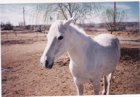 Hopalong Cassidy