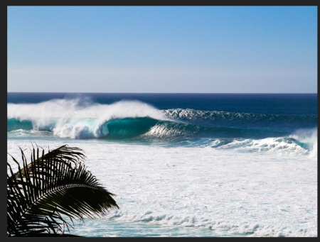 Bobby Foster's album, Surf Photographs