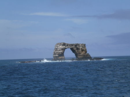 Darwins Arch